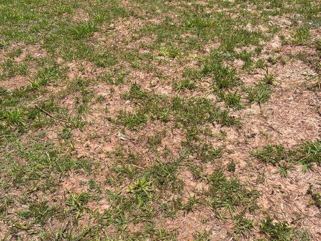 #KAZU - Área para Venda em Santana de Parnaíba - SP - 2
