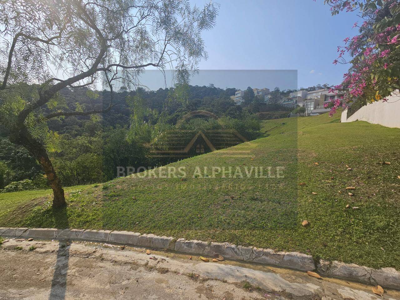 Terreno, 620 m² - Foto 8